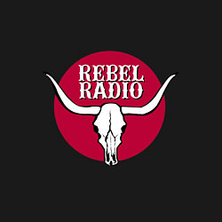 Свитшот хлопковый мужской Rebel Radio из GTA V, цвет: черный — фото 2