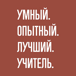 Свитшот хлопковый мужской Умный опытный лучший учитель, цвет: кирпичный — фото 2