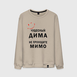 Мужской свитшот Чудесный Дима не проходите мимо