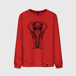 Свитшот хлопковый мужской Слон в панаме, цвет: красный