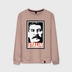Свитшот хлопковый мужской USSR Stalin, цвет: пыльно-розовый