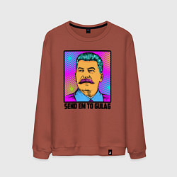 Свитшот хлопковый мужской Send em to gulag, цвет: кирпичный