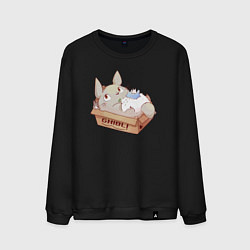 Свитшот хлопковый мужской Ghibli Totoro, цвет: черный