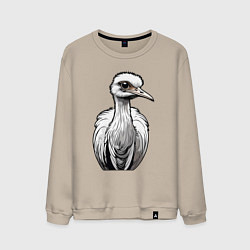 Мужской свитшот Страус рисованый