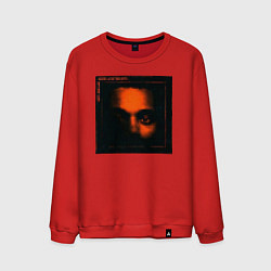 Мужской свитшот My dear melancholy lego