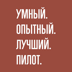 Свитшот хлопковый мужской Умный опытный лучший пилот, цвет: кирпичный — фото 2