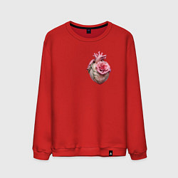 Свитшот хлопковый мужской Настоящее сердце и роза цветка, цвет: красный