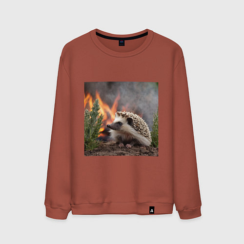 Мужской свитшот Ёжик в огне / Кирпичный – фото 1