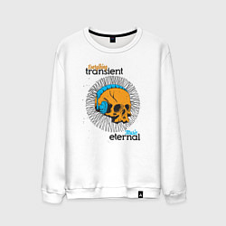 Мужской свитшот Everything transient music eternal