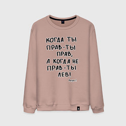 Мужской свитшот Афуфь - Когда ты прав