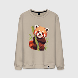 Свитшот хлопковый мужской The Red Panda, цвет: миндальный