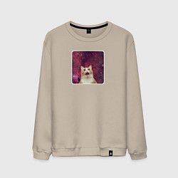 Свитшот хлопковый мужской Рыжий кот в космосе мем, цвет: миндальный