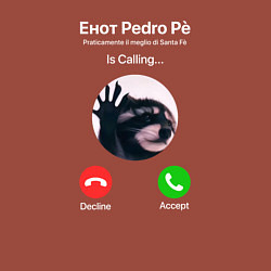 Свитшот хлопковый мужской Енот pedro is calling, цвет: кирпичный — фото 2