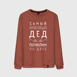 Свитшот хлопковый мужской Самый имбовый дед почилим на даче, цвет: кирпичный