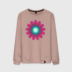 Свитшот хлопковый мужской Окружности шестерёнки, цвет: пыльно-розовый