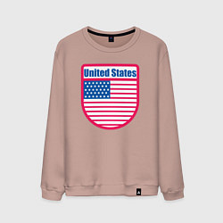 Свитшот хлопковый мужской United States, цвет: пыльно-розовый