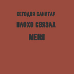 Свитшот хлопковый мужской Санитар плохо связал меня, цвет: кирпичный — фото 2