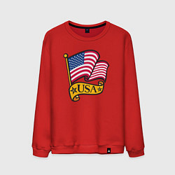 Мужской свитшот American flag