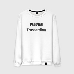 Свитшот хлопковый мужской Рабочая trussardina, цвет: белый