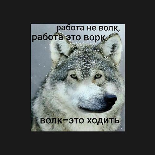 Мужской свитшот Работа не волк мем / Черный – фото 3