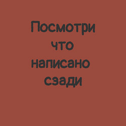 Свитшот хлопковый мужской Посмотри что написано, цвет: кирпичный — фото 2