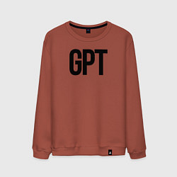 Свитшот хлопковый мужской GPT, цвет: кирпичный