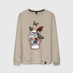 Мужской свитшот Бабочки и череп