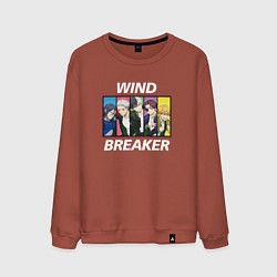Свитшот хлопковый мужской Wind Breaker, цвет: кирпичный