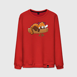 Свитшот хлопковый мужской Красная панда спит на дереве, цвет: красный