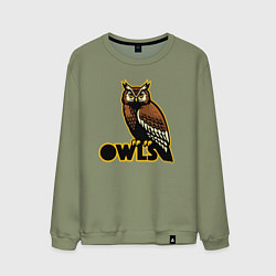 Свитшот хлопковый мужской Owls, цвет: авокадо