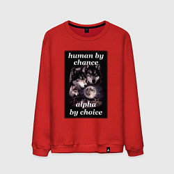 Мужской свитшот Human by chance, alpha by choice