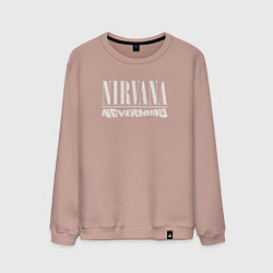 Свитшот хлопковый мужской Nevermind Nirvana, цвет: пыльно-розовый