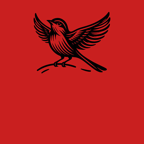 Мужской свитшот Пташка / Красный – фото 3