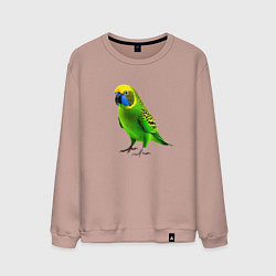 Свитшот хлопковый мужской Зеленый попугай, цвет: пыльно-розовый