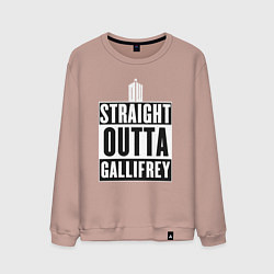 Свитшот хлопковый мужской Straight outta gallifrey, цвет: пыльно-розовый
