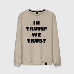 Свитшот хлопковый мужской In Trump we trust - slogan, цвет: миндальный