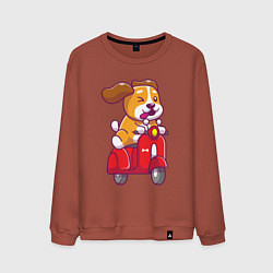 Свитшот хлопковый мужской Пёсик на мотороллере, цвет: кирпичный