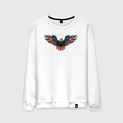 Мужской свитшот USA eagle