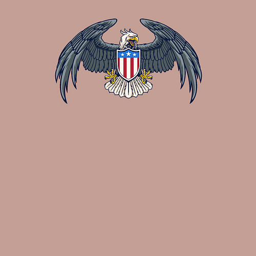 Мужской свитшот Eagle USA / Пыльно-розовый – фото 3