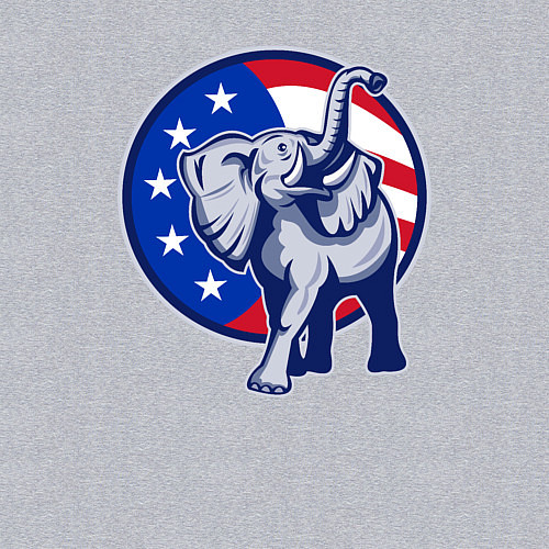 Мужской свитшот USA elephant / Меланж – фото 3