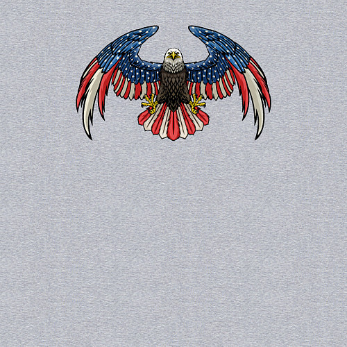 Мужской свитшот Eagle America / Меланж – фото 3