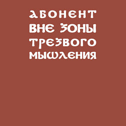 Свитшот хлопковый мужской Абонент вне зоны трезвого мышления, цвет: кирпичный — фото 2
