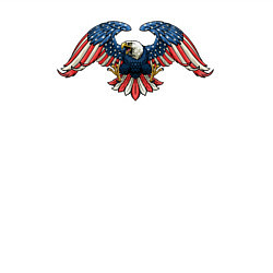 Свитшот хлопковый мужской Орёл - USA, цвет: белый — фото 2