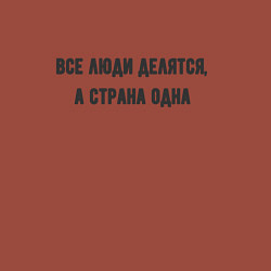 Свитшот хлопковый мужской Все люди делятся а страна одна, цвет: кирпичный — фото 2