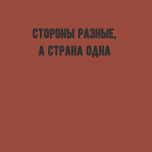 Мужской свитшот Стороны разные страна одна / Кирпичный – фото 3