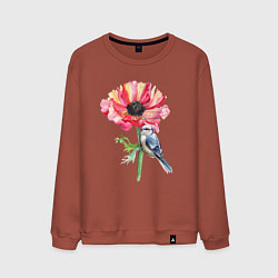 Свитшот хлопковый мужской Мак и лазоревка, цвет: кирпичный