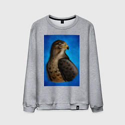 Мужской свитшот Портрет футбольного сокола