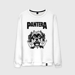 Мужской свитшот Pantera - rock dog
