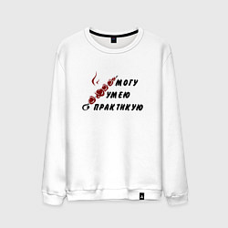 Мужской свитшот Могу, умею, практикую
