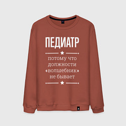 Свитшот хлопковый мужской Педиатр волшебник, цвет: кирпичный